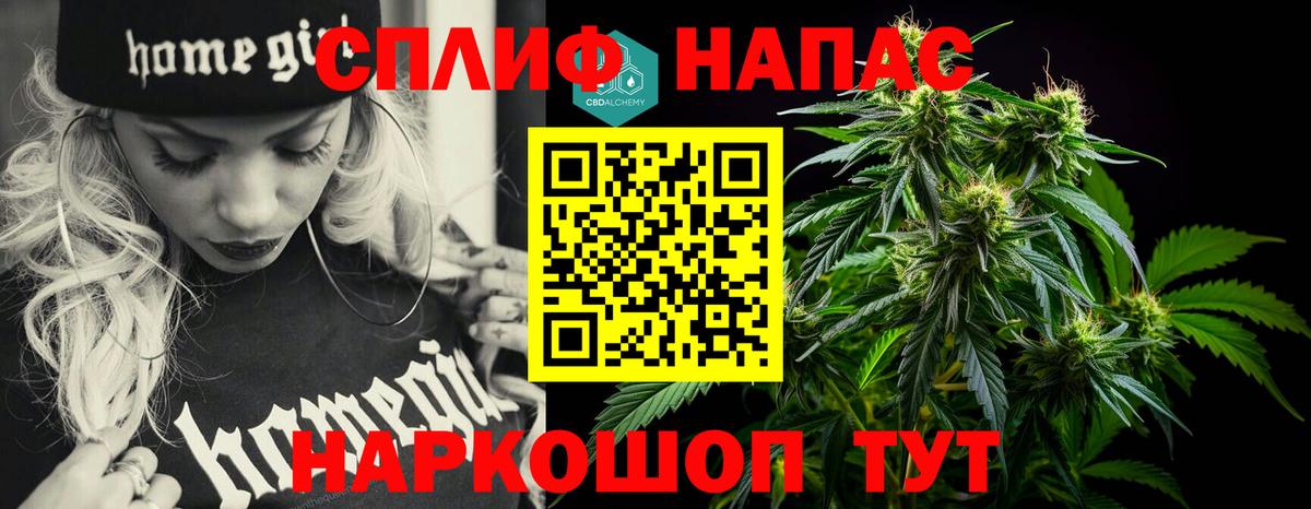 Бошки Шишки план Сегежа